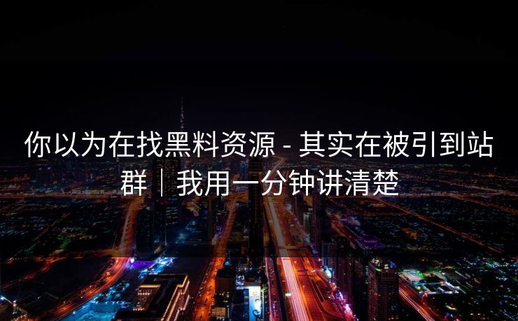 你以为在找黑料资源 - 其实在被引到站群｜我用一分钟讲清楚